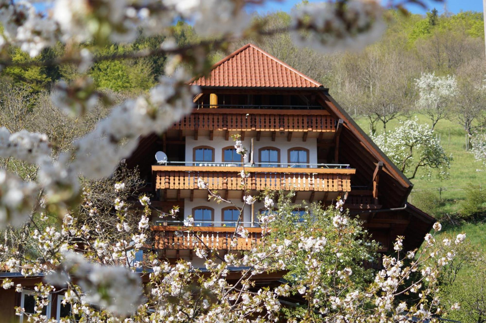 Kurparkhotel Faisst Bad Peterstal-Griesbach Exterior photo